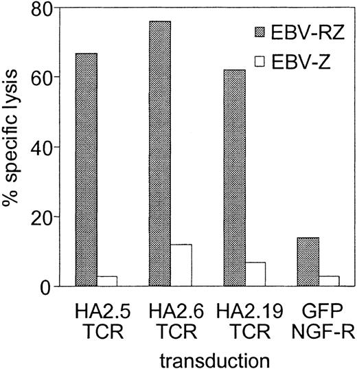 Figure 1. HA-2-specific cytotoxic response of the various HA-2 TCR-modified T-cell lines. HA-2 TCR-modified T cells were tested in a cytotoxicity assay against HLA-A2-positive HA-2-positive target cells (EBV-RZ; ▦) and HLA-A2-positive HA-2-negative target cells (EBV-Z; □) at an effector-target (E/T) ratio of 10:1. As negative control, T cells transduced with retroviral vectors encoding for marker genes only were used. The cytotoxicity assay was performed for 4 hours.