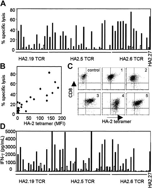 Figure 2. Functional analyses of the various HA-2 TCR-modified T-cell clones. (A) HA-2 TCR-modified T-cell clones were tested in a cytotoxicity assay against HLA-A2-positive HA-2-positive target cells (EBV-RZ; ▪) and HLA-A2-positive HA-2-negative target cells (EBV-Z; □) at an E/T ratio of 10:1. The cytotoxicity assay was performed for 4 hours. (B) HA-2/HLA-A2 tetramer staining of the HA-2 TCR-modified T-cell clones, shown as MFI, correlated with the lytic activity against HLA-A2-positive HA-2-positive target cells (EBV-RZ). (C) HA-2/HLA-A2 tetramer staining and CD8 expression of 5 representative HA-2 TCR-transferred T-cell clones1-5 and one GFP/NGFR transduced T-cell clone is shown. (D) IFN-γ production of the HA-2 TCR-modified T-cell clones upon stimulation with HLA-A2-positive HA-2-positive stimulator cells (EBV-RZ; ▪) and HLA-A2-positive HA-2-negative stimulator cells (EBV-Z; □) was measured after 24 hours of stimulation. The original HA-2-specific T-cell clone HA2.27 was used as positive control in these experiments. The HA-2/HLA-A2 tetramer staining of HA2.27 was also determined (MFI = 474).