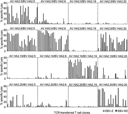 Figure 4. HA-2-specific cytolytic reactivity of chimeric TCRs. T-cell clones transduced with chimeric TCR complexes, consisting of the TCR α chain derived from one HA-2-specific T-cell clone and the TCR β chain from another HA-2-specific T-cell clone, were tested in a cytotoxicity assay against HLA-A2-positive HA-2-positive target cells (EBV-RZ; ▪) and HLA-A2-positive HA-2-negative target cells (EBV-Z; □) at an E/T ratio of 10:1. For every chimeric TCR combination, 24 TCR-transferred T-cell clones were tested. The composition of the chimeric TCR combinations are indicated above each panel. The cytotoxicity assay was performed for 4 hours.