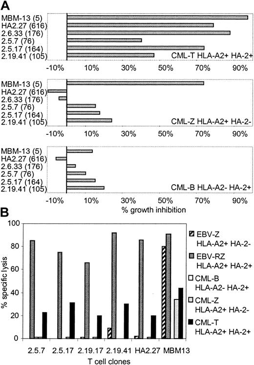 Figure 5. Antileukemic reactivity of HA-2 TCR-modified T-cell clones. HA-2 TCR-modified T-cell clones were tested in a (A) liquid hematopoietic progenitor cell inhibition assay (PIA) and in a (B) cytotoxicity assay against HLA-A2-positive HA-2-positive CML cells (CML-T), HLA-A2-positive HA-2-negative CML cells (CML-Z), and HLA-A2-negative HA-2-positive CML cells (CML-B). As positive controls, the original HA-2-specific T-cell clone HA2.27 and the allo-HLA-A2-specific T-cell clone MBM13 were used. Between parentheses the MFI of HA-2/HLA-A2 tetramer staining is indicated. In the cytotoxicity assay HLA-A2-positive HA-2-positive EBV-LCLs (EBV-RZ) and HLA-A2-positive HA-2-negative EBV-LCLs (EBV-Z) were included. The effector T cells were tested in the PIA at an E/T ratio of 1:1 and in the cytotoxicity assay at an E/T ratio of 7:1. The cytotoxicity assay was performed for 18 hours.