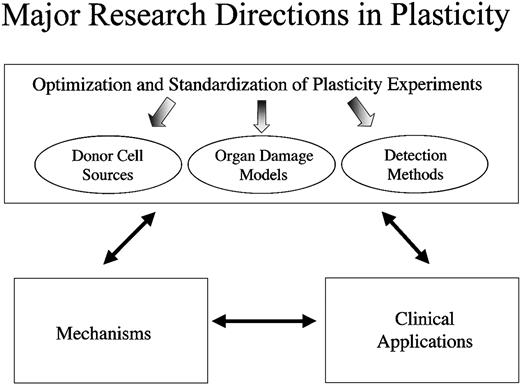 Figure 2. Discerning mechanisms underlying plasticity. Progress in the field of bone marrow stem cell plasticity must be made on multiple fronts simultaneously. To discern the mechanisms underlying plasticity, we must optimize and standardize the experimental approaches used so that the data obtained are as reproducible and definitive as possible. While making progress in our understanding of the underlying mechanisms, however, we must not lose sight of the potential therapeutic applications of these findings. By assessing the potential clinical benefits of stem cell administration in different disease models, we will gain insight not only into their therapeutic potential but also into the mechanisms by which plasticity occurs.