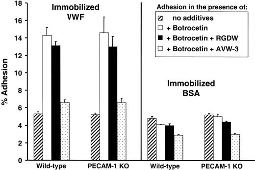 Figure 1. Adhesion of murine PECAM-1-positive and PECAM-1-negative platelets to VWF under static conditions. Calcein am-labeled platelets were incubated under static conditions at 37°C for 60 minutes in microtiter wells that had been coated with 10 μg/mL human VWF (left panel) or BSA (right panel) in the presence or absence of 4 U/mL botrocetin. Percent adhesion was calculated as follows: (bound fluorescence/total fluorescence) × 100. Some wells contained 1 mM RGDW peptide or 25 μg/mL of the antihuman VWF A1 domain antibody, AVW-3. Data shown represent the mean ± SD of triplicate determinations. No appreciable difference in the adhesion to VWF of PECAM-1-positive versus PECAM-1-negative platelets was observed under any of the conditions examined.