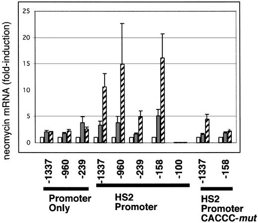 Figure 2. Induction of ey promoter-driven neomycin mRNA expression from SCFA- and DMSO-induced MEL cell stable transfects. MEL cells, transfected with nested deletions of the embryonic ϵy promoter linked to the neomycin resistance gene (ϵy promoter, wt or mut, with or without HS2; Figure 1A) and stably selected as pools in G418-containing media, were induced to undergo adult erythroid differentiation in media containing 2% DMSO (▦) or 5 mM propionate (▨). The length, in base pairs, of the ϵy promoter in each construct is shown on the x-axis. The bar graph depicts fold-induction of neomycin mRNA expression, normalized to TPI mRNA and relative to neomycin expression from identical uninduced MEL transfects (□, set equal to 1). Pooled MEL cell transfects containing ϵy promoter only (ϵyneo constructs), HS2 plus ϵy promoter (HS2 ϵyneo constructs), and HS2 plus ϵy promoter with a mutated CACCC site (CACCCmut, HS2ϵymut neo constructs) are as indicated. All results are from at least 3 independent pooled populations of transfects, except for HS2 -158 ϵyneo (n = 2) and HS2 -100 ϵyneo (n = 8). Error bars represent the standard error of the mean.