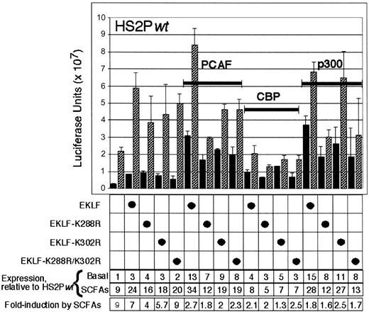 Figure 7. Expression from HS2 when coexpressed with EKLF variants and H/FATs, and SCFAs. Shown are mean levels of expression from HS2Pwt when cotransfected into NIH/3T3 cells with EKLF (EKLFwt) or acetylation-deficient mutants (EKLFmut) EKLF K288R, EKLF K302R, or EKLF K288R/K302R, plus H/FATs and SCFAs, as indicated. Expression was normalized to basal expression from HS2Pwt in Figure 5A (0.245 × 107 luciferase units). Expression from 3 individual transfections per condition was anayzed, and a single standard deviation around the mean is as shown. Basal and SCFA-induced expression from HS2Pwt under each cotransfection condition tested, relative to expression from HS2Pwt alone in uninduced media (set at 1) is shown numerically at “Expression, relative to HS2Pwt.” Fold-induction of expression (SCFA/basal) between paired samples under each condition tested is also shown numerically, at “Fold-induction by SCFAs.” ▪ indicates no induction; and ▨, SCFA induction.