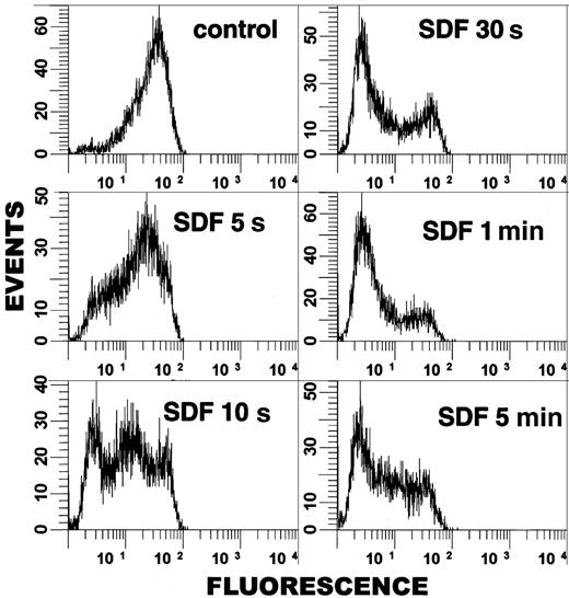 Figure 3. Flow cytometric analysis demonstrates rapidity of cpERM dephosphorylation. PBT cells were stimulated in suspension with SDF-1α (100 ng/mL) for the indicated time and fixed, and cpERM proteins were labeled using mAb 297s and FITC-conjugated donkey antirat IgG. The fluorescence intensity of 10 000 cells/sample was measured by flow cytometry. Data were gated for single, intact cells and plotted as events versus log fluorescence intensity.