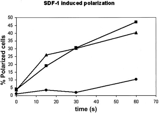 Figure 11. Transfection with moesin-T558D inhibits polarization of PBT cells. PBT cells were “nucleofected” without any DNA (“mock,” ▴), or with moesin constructs that mimic the unphosphorylated form (moesin-T558A-HA; ▪), or the phosphorylated form (moesin-T558D-HA, •). Cells were fixed before stimulation or at varying intervals after stimulation with SDF-1α, permeabilized, and stained for HA plus actin and visualized by fluorescence microscopy. Determination of percentage polarization was performed single blind for polarized cells (percentage of all cells in “mock” and percentage of transfected cells in moesin-transfected populations).