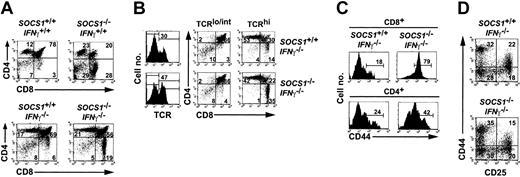 Figure 1. T-cell development in SOCS1-deficient mice is skewed toward CD8 lineage. (A) Thymocytes from 8-day-old SOCS1-/-IFNγ+/+ and 4-week-old SOCS1-/-IFNγ-/- mice and their respective controls were stained for CD4 and CD8. Numbers within each quadrant represent the frequency of thymocytes in DN, DP, CD4+, or CD8+ stages of development. Data shown are representative of several independent experiments. (B) CD8+ SP cells in SOCS1-deficient thymus are mature T cells. Thymocytes from 4-week-old SOCS1-/-IFNγ-/- mice and their littermate controls were stained for TCR-β, CD4, and CD8, and the distributions of DN, DP, CD4+, and CD8+ cells within TCRlo/int and TCRhi populations were estimated. Frequency of TCRhi cells is indicated within histograms, and numbers within the quadrants denote the percentages of each subset within TCRlo/int and TCRhi populations. Representative data from at least 4 animals per group are shown. (C) Increased CD44 expression on CD8+ SP cells in SOCS1-/-IFNγ-/- thymus. Expression of CD44 on CD8+ and CD4+ SP thymocytes from SOCS1-/-IFNγ-/- mice and their littermate controls is shown as histograms. Percentage of positive cells within the marker boundary is indicated. (D) SOCS1 is not a critical regulator of pre-T-cell development during the DN stage. Thymocytes from 4-week-old SOCS1-/-IFNγ-/- mice and their littermate controls were stained with biotinylated anti-CD4, anti-CD8, anti-CD25-PE, and anti-CD44-FITC, followed by ST-SPRD. Surface expression of CD25 and CD44 on gated CD4-CD8- DN cells is shown as dot plots. Percentages of cells within the 4 DN developmental stages are indicated. Results shown are representative of at least 3 animals per group from 2 experiments.