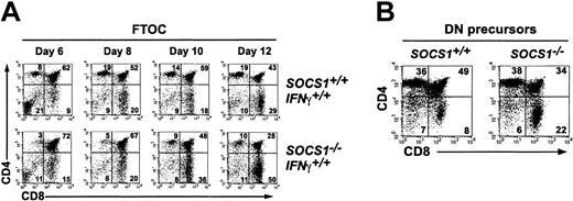 Figure 2. Skewed T-cell development toward CD8 lineage in SOCS1-deficient mice arises from an IFNγ-independent, T-cell intrinsic defect. (A) SOCS1-deficient FTOCs recapitulate T-cell developmental skewing toward the CD8 lineage. FTOCs were established from day 14.5 SOCS1-/- embryos and their littermate controls. Single-cell suspensions were prepared on indicated days and analyzed for the frequency of DN, DP, CD4+, and CD8+ cells. Results shown are representative of at least 6 thymi per group from 2 experiments. (B) Maturation of SOCS1-deficient DN precursors in Rag1-/- thymus is skewed toward the CD8 lineage. DN cells sorted from 4-week-old SOCS1-/- thymi and their littermate controls were injected into Rag1-/- thymi, and the frequencies of DN, DP, CD4+, and CD8+ cells were estimated after 14 days. Data shown are representative of 3 animals per group.