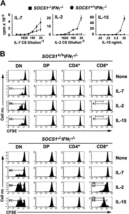 Figure 3. SOCS1-deficient CD8+ SP thymocytes hyperproliferate to IL-15 stimulation. (A) SOCS1-deficient thymocytes show increased proliferative responses to γc cytokines. Total thymocytes from 6-week-old SOCS1-/-IFNγ-/- mice and their littermate controls were stimulated with indicated concentrations of IL-7, IL-2, and IL-15 for 48 hours. 3H-thymidine incorporation during the last 8 hours is shown. Error bars indicate standard error. (B) SOCS1-deficient DN and CD8+ SP thymocytes selectively respond to IL-15 and IL-2. Total thymocytes from SOCS1-/- IFNγ-/- and control mice were loaded with CFSE and stimulated with a 1:20 dilution of IL-7- or IL-2-containing CS or with 40 ng mL-1 IL-15. After 72 hours, the cells were stained for CD4 and CD8 and were analyzed for diluted CFSE as a function of cell division. Representative data from at least 6 animals for each group from 3 experiments are shown. Numbers within histograms denote the frequency of cells that underwent 1 or 3 cell divisions.