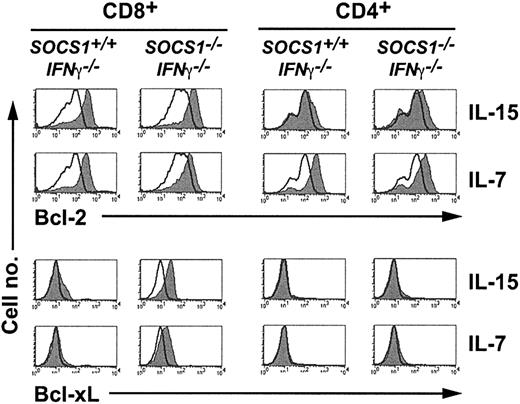 Figure 5. IL-15 and IL-7 up-regulate Bcl-xL expression selectively in SOCS1-deficient CD8+ SP thymocytes. Total thymocytes from SOCS1-/-IFNγ-/- and control mice were stimulated with 40 ng mL-1 IL-15 or a 1:20 dilution of IL-7-containing CS. After 36 hours, the cells were stained for CD4 and CD8, fixed, and stained for intracellular Bcl-2 or Bcl-xL. Expression of Bcl-2 or Bcl-xL in gated CD8+ and CD4+ SP thymocytes from a representative of several experiments is shown. Histograms of the stimulated cells are shaded gray, and unfilled line histograms represent the unstimulated cells.