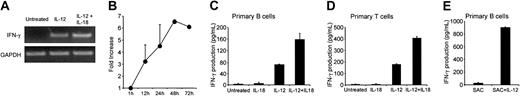 Figure 4. Effect of IL-12 on IFN-γ expression by primary B cells. (A-B) IFN-γ mRNA expression. Purified primary B cells were treated for up to 72 hours with IL-12 or with IL-12 plus IL-18. Corresponding cDNA was amplified with IFN-γ primers. Panel A shows the specific PCR bands for the 48-hour time point. In panel B, IFN-γ mRNA was quantified as indicated in “Materials and methods.” Results (means ± SEMs) are expressed as -fold increases in normalized cDNA values of IFN-γ versus the level at the 1-hour time point, because B cells did not express detectable IFN-γ at rest. (C-E) IFN-γ secretion in supernatants. (C-D) Purified B and T cells were treated for 48 hours with IL-12 or with IL-12 plus IL-18, as described in “Materials and methods.” (E) B cells were treated for 48 hours with SAC plus IL-12, as described in “Materials and methods.” Culture supernatants were harvested and assayed for IFN-γ by ELISA. Similar results were obtained in 3 other experiments.