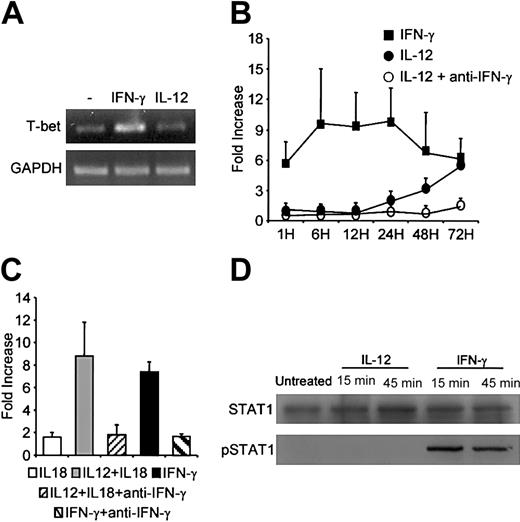 Figure 7. Effect of IL-12 and IFN-γ on T-bet mRNA expression and STAT1 activation in B cells. (A-C) T-bet mRNA expression. In panels A and B, purified primary B cells were activated for up to 72 hours with IL-12, IFN-γ, or IL-12 plus anti-IFN-γ and then lysed at various time points. mRNA was extracted and reverse transcribed. Panel A shows the PCR bands for the 24-hour time point with T-bet-specific primers. In panel B, T-bet and GAPDH cDNAs were quantified as described in “Materials and methods.” Results (means ± SEMs) are expressed as -fold increases in normalized T-bet cDNA values versus untreated cells. (C) B cells were activated for 48 hours in various conditions as indicated. T-bet mRNA expression was quantified as described. (D) STAT1 activation. Purified primary B cells were treated with IL-12 or IFN-γ for 15 and 45 minutes and then lysed. Western blotting was performed on whole-cell lysates by using antiphospho-STAT1. Membranes were reprobed with anti-STAT1.