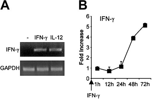 Figure 8. Effect of IFN-γ on its own expression in B cells. Purified primary B cells were activated with IFN-γ for up to 72 hours, then mRNA was extracted and reverse transcribed. cDNA was amplified with IFN-γ primers. (A) PCR bands for the 48-hour time point. (B) IFN-γ mRNA expression was quantified as described. Results (means ± SEMs) are expressed as -fold increases in normalized IFN-γ cDNA values versus the level at the 1-hour time point.