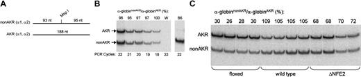Figure 3. Allele-specific RNA PCR. (A) The RNA PCR product from both adult α-globin genes of most non-AKR strains is bisected by an MspI restriction site. (B) Allele-specific RNA PCR on blood from HS26+(nonAKR)/+(AKR) non-AKR × AKR F1 mice. Controls are water (W) and C57BL6 (B6). (C) Allele-specific RNA PCR on bone marrow from HS26floxed(nonAKR)/+(AKR), HS26+(nonAKR)/+(AKR), and HS26ΔNFE2(nonAKR)/+(AKR) non-AKR × AKR F1 mice.