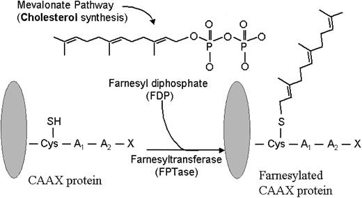 Figure 1. Farnesylation reaction. FPTase transfers a farnesyl group onto the cysteine terminal portion of a substrate protein, such as Ras. (Adapted from Rowinsky et al.5 J Clin Oncol 1999;17:3635. Used with permission from the author.)