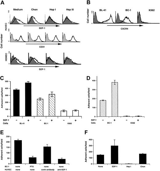 Figure 2. Endothelial cell surface SDF-1 expression regulates specific cell arrest under conditions of shear flow. (A) Flow cytometric analysis of surface SDF-1 and CD31 expression in HUVECs (passage 3) and surface SDF-1 expression in HDMECs prior to or after treatment with the enzymes chondroitinase (Chon), heparinase I (Hep I), or heparinase III (Hep III). Filled histograms indicate background staining; open histograms indicate specific staining. (B) Flow cytometric analysis of surface CXCR-4 expression in the Burkitt cell line BL-41, the KSHV-infected primary effusion lymphoma cell line BC-1, and the erythroleukemia cell line K562. (C) BL-41, BC-1, and K562 cells accumulated on HUVEC monolayers either untreated or overlaid with SDF-1 under conditions of physiologic shear stress (1.5 dyne/cm2 for 5 minutes). The results reflect the mean number (± SEM) of adherent cells from 5 randomly selected fields per condition. Representative experiment of 5 performed is shown. (D) Accumulation of BC-1 and K562 cells on HDMEC monolayers either untreated or overlaid with SDF-1 under conditions of shear flow (1.5 dyne/cm2 for 5 minutes). The results reflect the mean number (± SEM) of adherent cells from 5 randomly selected fields per condition. (E) Effects of BC-1 cell treatment with pertussin toxin (PTX) and effects of HUVEC treatment with either anti–SDF-1 mouse monoclonal neutralizing antibody or control mouse IgG1 on the arrest of BC-1 cells under conditions of shear flow. The results reflect the mean number (± SEM) of adherent cells from 5 randomly selected fields per condition. Representative experiment of 3 performed is shown. (F) BC-1 cell arrest under conditions of shear flow on HUVEC monolayers untreated, loaded with SDF-1, treated with heparinase I (Hep I), or treated with chondroitinase (Chon). The results reflect the mean number (± SEM) of adherent cells from 5 randomly selected fields per condition. Representative experiment of 4 performed is shown.