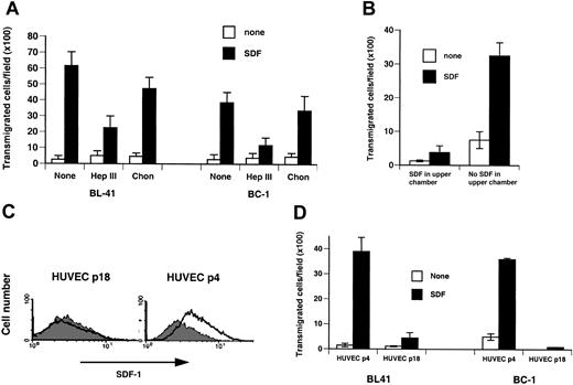 Figure 3. Endothelial cell surface SDF-1 regulates specific cell transmigration under static conditions. (A) BL-41 and BC-1 cell migration across HUVEC monolayers in the presence or absence of SDF-1 in the lower chamber of transwells. HUVEC monolayers were either untreated or treated with heparinase III (Hep III) or chondroitinase (Chon). The results reflect the mean (± SEM) number of cells transmigrated to the lower chamber over 4 hours from 3 replicate wells per condition. Representative experiment of 5 performed. (B) BC-1 cell migration across HDMEC monolayers in the presence or absence of SDF-1 in the lower and upper chamber of transwells. The results reflect the mean (± SEM) number of cells transmigrated to the lower chamber over 4 hours from 3 replicate wells per condition. Representative experiment of 3 performed. (C) Surface SDF-1 expression in early (passage 4) and late (passage 18) passage HUVECs detected by flow cytometry. (D) BL-41 and BC-1 cell transmigration as a function of HUVEC passage in culture. Early (passage 4) or late (passage 18) passage HUVECs were used to generate monolayers separating the upper and lower chambers of transwells. Medium alone or with SDF-1 was placed in the lower chamber. The results reflect the mean (± SEM) number of cells transmigrated to the lower chamber from 9 replicate wells per condition. Representative experiment of 3 performed is shown.