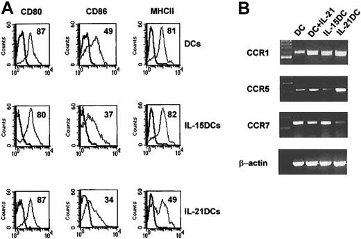 Figure 3. IL-21DCs express low MHC II and CCR7mRNA. (A) DCs, IL-15DCs, and IL-21DCs were analyzed by multicolor flow cytometry (gated on CD11c+ cells). Representative data of 10 experiments are shown. The percentage of positive cells is given in each histogram. Unstained cells or isotype control antibodies were used as negative controls. (B) IL-21 enhances CCR1 and CCR5 but suppresses CCR7 expression. Chemokine receptor expression was analyzed in DCs, IL-21-stimulated DCs (100 ng/mL for 24 h), IL-15DCs, or IL-21DCs by PCR.