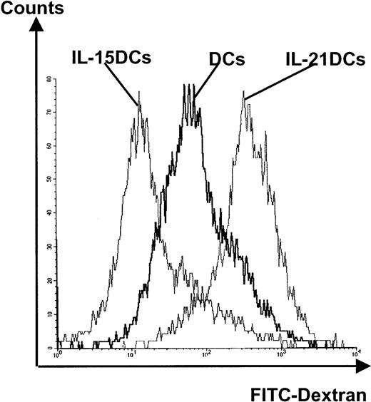 Figure 4. High versus low antigen uptake (endocytosis) by IL-21DCs or IL-15DCs. Cells were incubated 30 minutes at 37°C with FITC-labeled dextran, washed, and analyzed for FITC-dextran uptake by FACS. One representative experiment of 3 is shown.