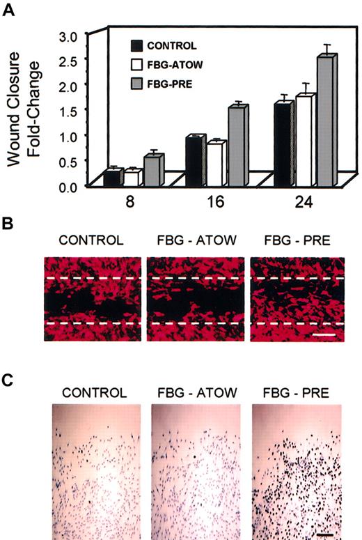 Figure 1. FBG preassembled into the ECM of fibroblasts enhances wound closure. Fibroblasts were left untreated (CONTROL), treated with 40 μg/mL FBG immediately after the time of wounding (FBG-ATOW), or treated with FBG 24 hours prior to wounding (FBG-PRE). (A) At 8, 16, and 24 hours after wounding, the numbers of cells migrating into the denuded space were quantified as described in “Materials and methods.” The data are presented as the mean ± SEM; n = 7 to 13 per condition. (B) The effect of FBG treatment on cell migration into the wound space was visualized by low-power microscopy in CONTROL cells (left), FBG-ATOW-treated (middle), and FBG-PRE-treated (right) cells 16 hours after wounding. The original wound margins are denoted by dotted lines. Scale bar represents 50 μm. (C) Fibroblasts were treated with or without FBG as described above. 3H-thymidine was added ATOW to the culture media. A representative low-power field of each treatment condition at 16 hours after wounding is shown. Positive DNA synthesis is denoted by the presence of black-appearing silver grains over the nuclei of actively proliferating cells. Scale bar represents 100 μm.