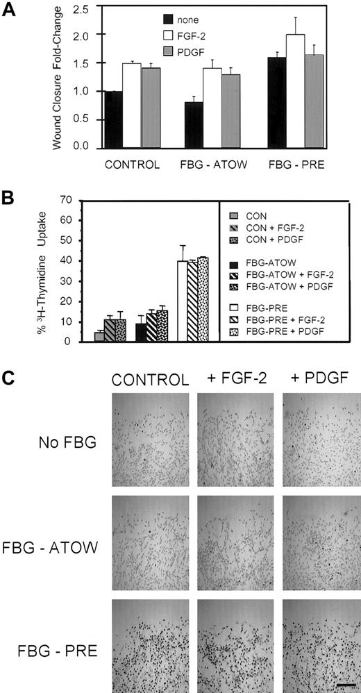 Figure 2. Exogenous FGF-2 and PDGF have no effect on wound closure enhanced by matrix-FBG. After the time of wounding, no growth factor (none), FGF-2 (50 ng/mL), or PDGF (2 ng/mL) was added to fibroblasts left untreated (CONTROL), treated with FBG-ATOW, or treated with FBG 24 hours prior to wounding (FBG-PRE). (A) At 16 hours after wounding, the cells were fixed and stained with rhodamine-phalloidin to visualize actin filaments in order to count the cells that had migrated into the wound space. The data are presented as the mean ± SEM; n = 5 to 7 per condition. (B) The fibroblasts were treated with or without FBG and with or without growth factors as described above; however, ATOW 3H-thymidine was also added to the culture media. At 16 hours after wounding, the cells were fixed, dehydrated, and dipped into NTB-photographic silver emulsion to detect cells in S phase by the deposition of silver grains over the nuclei that have actively incorporated 3H-thymidine. The data are presented as the mean ± SEM; n = 5 to 6 per condition from 2 separate experiments. (C) A representative low-power field of each treatment condition is shown. Positive DNA synthesis is denoted by the presence of black-appearing silver grains over the nuclei of actively proliferating cells. Scale bar represents 125 μm.