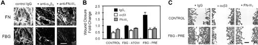 Figure 3. Matrix-FBG-enhanced wound repair is dependent on integrin activation and active assembly of FN and FBG in the ECM. (A) HFFs were treated with 40 μg/mL FBG-Oregon Green plus 10 μg/mL either nonimmune IgG1 (i,iv), anti-αvβ3 (LM609; ii,v), or 2 μg/mL anti-FN-III1 (9D2; iii,vi) IgG1 for 24 hours. (A) The intensity and pattern of FN fibrils was detected by indirect immunofluorescence (i-iii), and FBG-Oregon Green assembled into matrix fibrils was visualized by direct epifluorescence (iv-vi). Scale bar represents 25 μm. (B) Fibroblasts treated with nonlabeled FBG and nonimmune IgG1, LM609 (anti-αvβ3), or 9D2 (anti-FN-III1) MoAb were wounded, and the number of cells migrating into the denuded space over 16 hours was quantified as described in “Materials and methods.” The data are presented as the mean ± SEM; n = 4 to 6 per condition from 3 separate experiments. (C) The effect of antibody treatment on wound closure was visualized by staining F-actin and low-power microscopy in CONTROL cells (i-iii) and FBG-PRE-treated cells (iv-vi). Scale bar represents 40 μm.