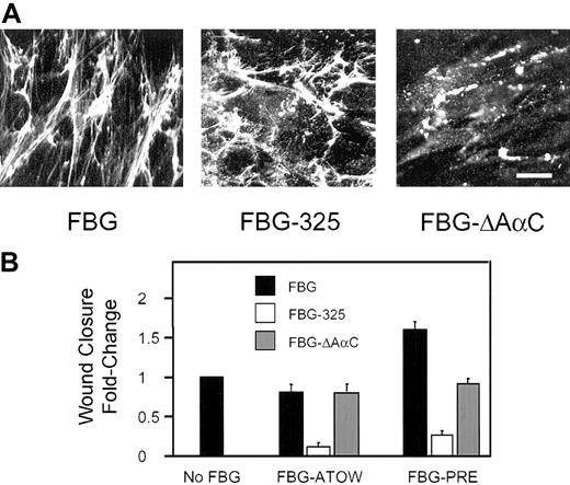 Figure 5. The role of FBG Aα-RGD and Bβ1-42 cell-binding domains in mediating enhanced wound closure. Confluent monolayers of HFFs were treated with 30 μg/mL FBG, FBG-325, or FBG-ΔAαC either ATOW or 24 hours prior to wounding, FBG-PRE. (A) The intensity and pattern of FBG (left), FBG-325 (middle), and FBG-ΔAαC (right) assembled into matrix fibrils was visualized by indirect immunofluorescence. Scale bar represents 25 μm. (B) At 16 hours after wounding, wound closure was quantified as described in “Materials and methods.” The data are presented as the mean ± SEM; n = 3 to 5 per condition from 3 independent experiments.