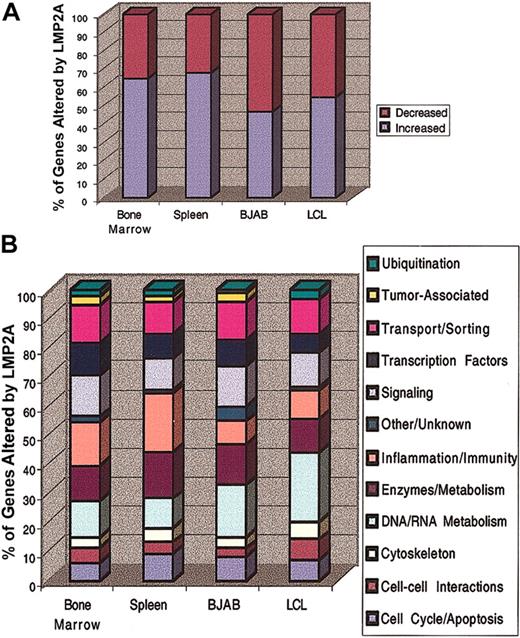 Figure 1. Overall changes in gene expression induced by LMP2A. (A) The percentage of genes increased or decreased by LMP2A expression in various cell types is indicated. Gene expression in primary murine bone marrow and splenic B cells from LMP2A transgenic mice was compared with that in B cells from nontransgenic littermates. Gene expression in LMP2A-positive human B-lymphoma lines (BJAB) and EBV-transformed LCLs was compared with that in LMP2A-negative BJABs and LCLs, respectively. (B) Genes were annotated and placed in categories based on protein function. The percentages of genes in each category relative to the overall changes in gene expression are shown.