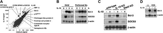 Figure 1. Microarray analysis of IL-10-inducible genes in macrophages. (A) Genes induced by IL-10 in peritoneal macrophages. Representative results in peritoneal macrophages treated with 10 ng/mL IL-10 for 4 hours are shown in the scatter plot. Similar results were observed in peritoneal macrophages treated with IL-10 for 2 hours, and RAW cells treated for 2 hours and 4 hours. (B) RAW cells and peritoneal macrophages were cultured in the absence or presence of 10 ng/mL IL-10 for the indicated periods. Total RNA was extracted and analyzed by a Northern blot using 32P-labeled Bcl-3 and SOCS3. Hybridization with a β-actin probe confirmed even loading of RNA in each lane. Data are representative of 3 independent experiments. (C) Peritoneal macrophages isolated from wild-type, IL-10-deficient, and Stat3-mutant mice were treated with 10 ng/mL IL-10 for 2 hours. Total RNA was extracted and analyzed for Bcl-3 and SOCS3 expression by Northern blotting. KO indicates knock-out. (D) Peritoneal macrophages isolated from wild-type mice were treated with 10 ng/mL IL-10 for 2 hours in the presence or absence of 1 μg/mL cycloheximide (CHX) for 0.5 hours. Samples were analyzed by Northern blotting as in panel B.