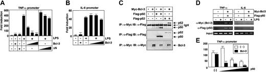 Figure 5. Overexpression of Bcl-3 inhibits LPS-induced transactivation of the TNF-α promoter. (A) RAW cells were transiently cotransfected with the TNF-α promoter-luciferase construct (10 ng) and the expression vectors for full-length Bcl-3 or ΔN (10 ng, 100 ng, or 500 ng), as indicated. After 24 hours of transfection, cells were treated with or without 1 μg/mL LPS for 8 hours and then the luciferase activities were measured. Data are representative of 3 independent experiments yielding similar results. Data are expressed as relative fold activation compared with the nonstimulated (-) set. (B) RAW cells were transiently cotransfected with the IL-6 promoter-luciferase construct (100 ng) and the expression vector for Bcl-3 (10 ng, 100 ng, or 500 ng), as indicated. The cells were treated with 1 μg/mL LPS for 8 hours and luciferase activity was detected. Representative results of 3 independent experiments are shown. (C) The 293 cells were transfected with various combinations of pEF-BOS-Myc-Bcl-3, pcDNA3.1-Flag-p50, and pcDNA3.1-Flag-p52 in a 6-well dish (each 1 μg/well). Total amount of transfected DNA was kept at 2 μg by adding pEF-BOS or pcDNA 3.1. p50 and p52 were immunoblotted by anti-Flag antibody (M2 monoclonal antibody). Bcl-3 was immunoblotted by rabbit polyclonal anti-c-Myc antibody. Plasmids transfected are indicated on top of the panel. (D) RAW cells expressing Myc-Bcl-3 and Flag-p50 were stimulated with 100 ng/mL LPS for 2 hours, and chromatin immunoprecipitation assays were performed with α-Myc or α-Flag antibodies. The detection of the immunoprecipitated TNF-α promoter (left panel) or IL-6 promoter (right panel) was analyzed by PCR with promoter-specific primers. Representative of 3 independent experiments. (E) RAW cells were transiently cotransfected with pELAM-1, Flag-p50 (0, 1, 10, 100 ng/well), and pEF-BOS Bcl-3 (100 ng/well) expression plasmids. After 24 hours of transfection, cells were treated with 1 μg/mL LPS for 8 hours and then luciferase activity was detected. Data are expressed as relative fold activation compared with the nontransfected set. Error bars indicate SD.