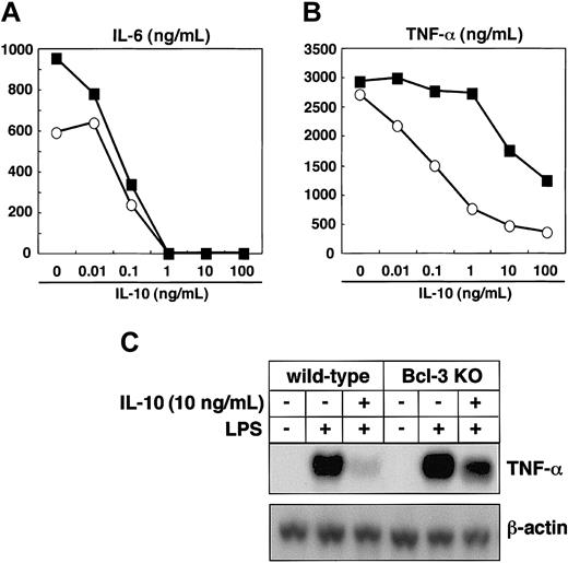 Figure 6. Bcl-3-deficient macrophages are defective in IL-10-mediated suppression of LPS-induced TNF-α production. (A-B) Peritoneal macrophages from wild-type and Bcl-3-deficient mice were pretreated with IL-10 at the indicated concentrations for 18 hours and stimulated with 100 ng/mL LPS for an additional 24 hours. Concentrations of IL-6 (A) and TNF-α (B) in the culture supernatants were measured by ELISA. The experiments were repeated with 3 different animals and produced similar results. Open circles indicate wild-type mice; closed squares, Bcl-3-deficient mice. (C) Peritoneal macrophages from wild-type and Bcl-3-deficient mice were pretreated with 10 ng/mL IL-10 for 18 hours and stimulated with 100 ng/mL LPS for 2 hours. TNF-α mRNA expression was analyzed by Northern blotting.
