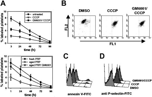 Figure 4. Inhibition of metalloproteinase activity improves posttransfusion recovery of CCCP-treated and aged platelets. (A) Upper panel: survival of washed platelets incubated for 60 minutes with CCCP in the presence or absence of GM6001. Lower panel: survival of platelets aged in plasma in the presence or absence of GM6001. Upon treatment, platelets were labeled with calcein and infused into mice. Blood was drawn at different time points and analyzed by flow cytometry. Results are shown as percent calcein-labeled platelets ± SEM, n = 5. (B) Washed platelets were incubated for 60 minutes with DMSO, CCCP, or GM6001/CCCP, stained for their mitochondrial potential with JC-1,49 and analyzed immediately. JC-1 is a carbocyanine that, in its monomeric form, exhibits an emission maximum at 527 nm (Fl1). High mitochondrial potential promotes a directional uptake of JC-1 into the matrix and subsequent formation of J-aggregates (emission maximum: 590 nm, Fl2). Results are representative of 3 separate experiments. (C, D) Platelets were treated as indicated, stained with annexin V-FITC or RB40.34-FITC (anti-P-selectin) and analyzed on a FACScalibur. Results are representative of 5 experiments.