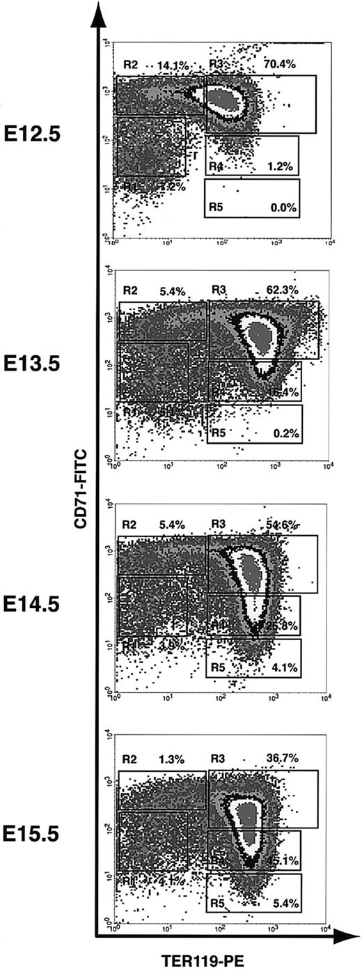 Figure 3. Flow cytometry analysis of erythroid differentiation in vivo. E12.5 to E15.5 fetal liver cells were double stained for TER119 and CD71 and analyzed by flow cytometry as described in Figure 1. The relative number of cells from each region of R1 to R5 is indicated as a percentage of all viable cells and shown on each plot.