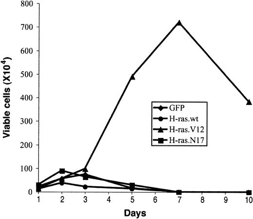 Figure 6. Effect of abnormal erythroblast growth on oncogenic ras expression. Expression of oncogenic ras induces abnormal growth of erythroblasts. Purified TER119- cells were infected with bicistronic retrovirus constructs encoding GFP alone, H-ras wild-type (wt), oncogenic H-ras (H-ras.V12), or dominant-negative H-ras (H-ras.N17) and cultured in fibronectin-coated wells as described in Figure 4. Cell numbers are presented as total viable GFP+ cells. Data are averages from triplicate cultures of 2 separate experiments and SDs were always less than 5% of the averages.