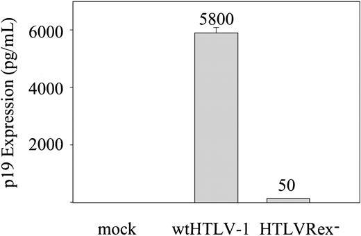 Figure 2. p19 Gag expression in 293T cells. 2 × 105 293T cells were transfected with 5 μg of wtHTLV-1, HTLVRex-, or expression vector control DNA. At 72 hours after transfection, p19 Gag production was measured in the supernatant by ELISA. The values, which represent p19 Gag levels for 3 independent experiments, are normalized for transfection efficiency. Error bars indicate standard deviations. The data indicate detectable Gag production in the absence of Rex.