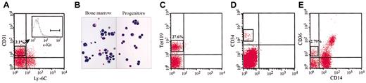 Figure 1. Flow cytometric analysis and Wright-Giemsa staining. Representative examples of sorting procedures. Log fluorescence distribution of mouse and human stained cells, showing the live gates used for flow cytometry. (A) Three-color flow cytometric analysis of adult mouse bone marrow cells stained with anti–c-Kit, CD31, and Ly-6C Abs. (B) Morphology of c-Kit+/CD31high/Ly-6C- cells (Progenitors) compared with total bone marrow cells (Bone marrow) stained with Wright-Giemsa (original magnification, × 40). (C) Flow cytometric analysis and sorting window of mouse bone marrow cells stained with Ter119 Abs. (D) Sorting profile of human CD34+ cells. (E) Two-color flow cytometric analysis and sorting of human mononuclear bone marrow cells tracked by CD36 and CD14 Abs.