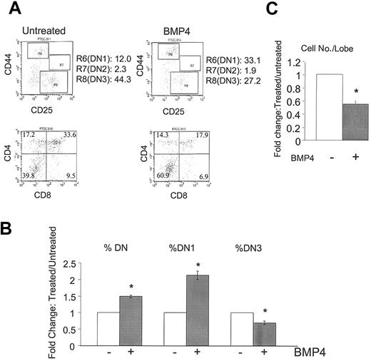 Figure 1. BMP4 arrest of T-cell development. E15 FTOC was cultured for 7 days in the presence or absence of BMP4 (30 μg/mL). (A) Representative fluorescence-activated cell sorter (FACS) dot plots of CD44/CD25 (upper panels) and CD4/CD8 (lower panels) expression by thymocytes in untreated (left panels) and BMP4-treated (right panels) FTOCs. R6, R7, and R8 denote DN1, DN2, and DN3 subpopulations, respectively. (B) Bars represent the relative change in total DN, DN1, and DN3 subpopulations in a total of 22 experiments. Changes are significant (*) with greater than 99.9% confidence by P values. (C) Bars represent the relative change in total cell number per lobe in these cultures in a total of 14 experiments. The decrease with BMP4 treatment is again significant (*) with greater than 99.9% confidence. Error bars indicate mean ± SD.