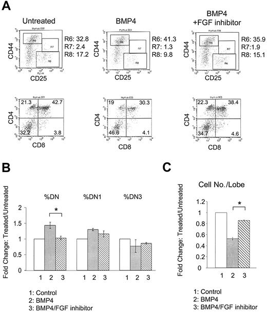 Figure 4. Suppression of BMP4 activity by FGF inhibitor. E15 FTOC was cultured for 7 days in the presence of BMP4 alone or BMP4 plus FGFR2IIIb/Fc inhibitor. (A) Representative FACS dot plots of CD44/CD25 (upper panels) and CD4/CD8 (lower panels) expression by thymocytes from untreated (left panels), BMP4-treated (middle panels), and BMP4 plus FGFR2IIIb/Fc inhibitor–treated (right panels) FTOC. R6, R7, and R8 denote DN1, DN2, and DN3 subpopulations, respectively. (B) Bars represent the relative change in total DN, DN1, and DN3 subpopulations in these cultures. Restoration of DN population with FGFR2IIIb/Fc addition is significant in a total of 3 experiments; *P < .0115. (C) Bars represent the relative change in total cell number per lobe in these cultures. Restoration of cell numbers with FGFR2IIIb/Fc addition is significant (*), with greater than 99.9% confidence, from a total of 3 experiments. Error bars indicate mean ± SD.