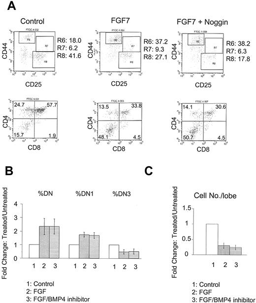 Figure 5. Failure of BMP4 antagonists to suppress activity of FGF7. E15 FTOC was cultured for 7 days with FGF7 in the presence or absence of BMP4 inhibitor. (A) Representative FACS dot plots of CD44/CD25 (upper panels) and CD4/CD8 (lower panels) expression by thymocytes from untreated (left), FGF7 only–treated (middle), and FGF7 plus Noggin–treated (right) FTOC. R6, R7, and R8 denote DN1, DN2, and DN3 subpopulations, respectively. (B) Bars represent relative changes in total DN, DN1, and DN3 subpopulations in control, FGF7-treated, and FGF7 plus BMP4 inhibitor–treated versus untreated cultures in a total of 4 experiments. Differences with BMP4 inhibitor addition were not significant. (C) Bars represent relative changes in total cell number per lobe in these cultures in a total of 4 experiments. Differences with BMP4 inhibitor addition were not significant. Error bars indicate mean ± SD.