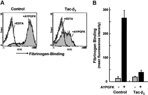 Figure 7. Gene-transferred platelets derived from ES cells for functional assay. A cDNA construct that produced a fusion protein of IL2 receptor and cytoplasmic domain of integrin β3 (Tac-β3) was transfected into ES cells, and platelets were produced. (A) Platelets from the transfected ES cells (day 15) were stimulated with AYPGFK, and the binding of Alexa Fluor 488-labeled fibrinogen was analyzed by flow cytometry (gray histogram, right panel). Results obtained with control platelets produced from ES cells transfected with pKJ2 are shown in the left panel. Open histograms represent the fibrinogen binding in the presence of EDTA. (B) Fibrinogen binding is expressed as mean fluorescence intensity. Data represent the mean ± SEM from platelets produced by 3 independently transfected ES clones.