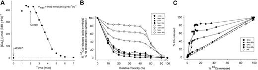 Figure 3. Generation of 45Ca content heterogeneity during the Ca2+ extrusion period of the load-extrusion protocol. One experiment with protocol 1 is shown (see “Experimental protocols”) representative of 3 with similar results. (A) Measurement of the PMCA Vmax by the load-extrusion extrusion protocol. RBCs were suspended at 10% Hct in medium HK supplemented with 5 mM inosine and 140 μM 45Ca(Ca2+). The ionophore A21387 was added at t = 0 (final concentration 10 μM) and CoCl2 was added at t = 2 minutes (final concentration 0.4 mM). (B) Comparison of the release of Hb and 45Ca induced by hypotonic lysis, as a function of relative tonicity. The measurements were performed on aliquots of the same samples used for the Vmax estimates in panel A, as per protocol 1. All samples were postincubated in LK medium. Solid and open symbols report percentages of 45Ca and Hb released at each relative tonicity, respectively. One hundred percent release corresponds to the values obtained at about 0 relative tonicity. (C) Direct comparison of lysis-induced release of Hb and 45Ca at each relative tonicity. The solid symbols and lines represent paired values from open and solid symbols of panel B. The open symbols and dashed lines are from duplicate samples from the same experiment treated as in panel A except for postincubation in HK medium to preclude volume changes.