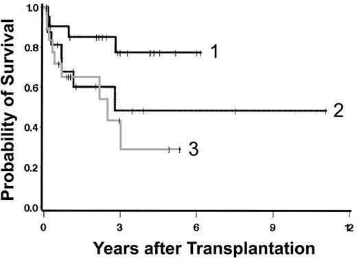 Figure 3. Survival by degree of marrow fibrosis. Group 3 includes patients who had evidence of osteosclerosis.