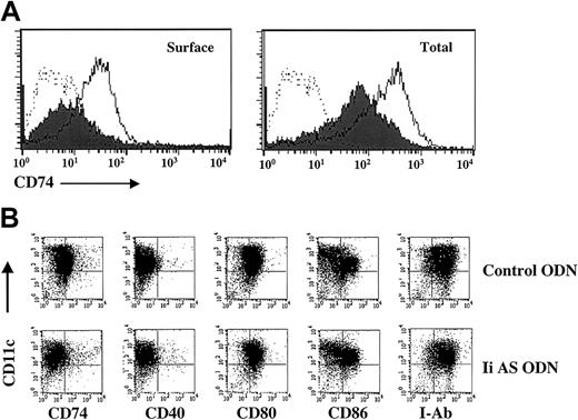 Figure 1. Inhibition of invariant chain expression (CD74) in DCs incubated with antisense oligonucleotides. (A) Day-7 DCs generated from the bone marrow of C57BL/6 mice30 were electroporated with OVA mRNA and 50 mM Ii AS ODNs (AE40) (filled histogram) or control ODNs (SE46) (open histogram).31 Cells were replated, cultured for 2 days, and stained with fluorescein isothiocyanate (FITC)-labeled antimouse CD74 (invariant chain) antibody (Ab). Dotted lines indicate DCs stained with FITC-labeled isotype control Ab. To measure total invariant chain expression, cells were permeabilized before Ab staining. (B) Shown is 2-color staining of DCs with phycoerythrin (PE)-labeled anti-CD11c and FITC-labeled anti-CD74, -CD40, -CD80, -CD86, or MHC class II (I-Ab) Ab (PharMingen, San Diego, CA). Data are representative of 5 experiments.