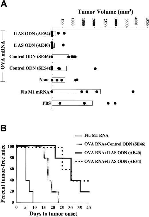 Figure 4. Enhancement of antitumor immunity in mice immunized with Ii AS ODN-treated DCs. Mice were immunized twice weekly with DCs transfected with either OVA or Flu M1 mRNA, or mock-immunized with PBS, treated with either of 2 Ii AS ODNs (AE54 or AE40) or 2 control ODNs (SE46 or SE54), as indicated, and challenged subcutaneously with B16/F10.9-OVA tumor cells 10 days after the second immunization (5 mice per group). (A) Day-21 tumor measurements. There was no statistical difference between the PBS group relative to the Flu M1 RNA mRNA group, among the 3 OVA mRNA groups not treated or treated with either of the 2 control ODNs, and between the 2 OVA mRNA groups treated with either of the 2 Ii AS ODNs. The P values for the PBS group relative to the OVA mRNA + control ODN groups and for the OVA mRNA + control ODN groups relative to the OVA mRNA + Ii AS ODN groups were less than .002. (B) Time to appearance of palpable tumors. Statistical significance was determined using the log-rank test. P values were .0015 for the OVA mRNA + control ODN group relative to the Flu M1 RNA group and .001 for the OVA mRNA + Ii AS ODN groups relative to the OVA mRNA + control ODN group. There was no statistical difference between the 2 OVA mRNA groups treated with either of 2 Ii AS ODNs. The median time to tumor onset was 9 days for the Flu M1 group, 17 days for the control OVA mRNA + ODN group, and 30 days for the OVA mRNA + Ii AS ODN-treated groups. Data are representative of 3 experiments.