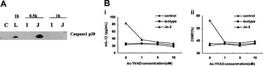 Figure 4. Caspase-1 is activated by Fas ligation and is required for Fas-ligation-induced IL-1β secretion and phenotypic maturation of DCs. (A) Western blot analysis of caspase-1 activation in DCs cultured in medium alone (C) or after stimulation with anti-Fas antibody Jo-2 (J), isotype antibody (I), or LPS (L) for the indicated times. (B) Inhibition of Fas-ligation-induced IL-1β secretion (i) and maturation marker CD86 expression in DCs (ii) by the relatively specific caspase-1 inhibitor Ac-YVAD. Comparable results were obtained from 3 independently conducted experiments.