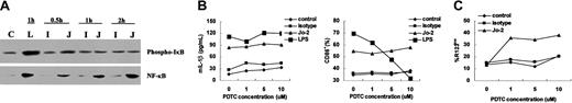 Figure 6. Fas ligation activation of NF-κB in DCs and its involvement in DC survival. (A) Determination of Fas ligation-induced phosphorylation of IκB and nuclear translocation of NF-κB. Cytoplasmic or nuclear extracts from DCs cultured in medium alone (C) or stimulated with Jo-2 (J), isotype antibody (I), or LPS (L) were prepared, blotted, and probed with phospho-IκB- and NF-κB-specific antibodies, respectively. (B) DCs were pretreated with different doses of PDTC, an inhibitor of NF-κB activation, for 30 minutes, then stimulated with Jo-2, isotype antibody or LPS, for 24 hours. Levels of IL-1β in supernatants were determined by ELISA, and DCs were harvested for CD86 staining and analysis by flow cytometry. (C) Detection of Fas ligation-induced DC death. After pretreatment with the indicated dose of PDTC, DCs were stimulated with Jo-2 or isotype antibody for 8 hours, then stained with R123 and analyzed by flow cytometry. Data are presented as the percentage of cells that were apoptotic (R123low).