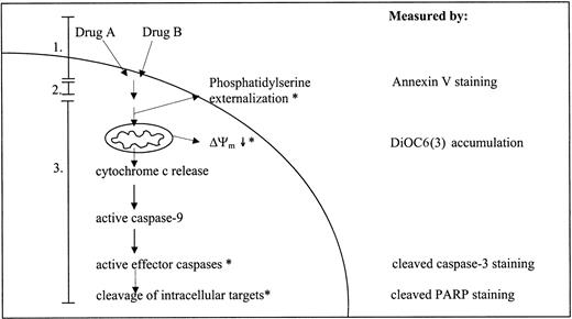 Figure 1. Simplified overview of the events taking place during drug-induced activation of apoptotic parameters. Drugs A and B represent 2 structurally unrelated drugs. Numbers 1, 2, and 3 refer to the 3 phases of the drug-induced apoptotic route as described in “Introduction”: 1 indicates insult generation; 2, signal transduction; and 3, execution. Parameters with an asterisk (*) are measured in this study using flow cytometry; the right column indicates the detection method used.