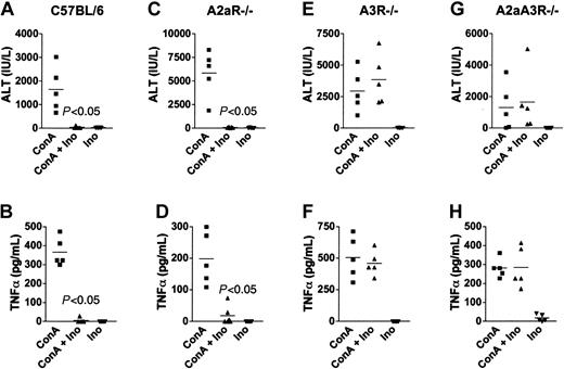 Figure 1. A3 adenosine receptors are required for the inhibition of ConA-induced ALT and TNFα by inosine. C57BL/6 (A-B), A2aR-/- (C-D), A3R-/- (E-F), and A2aA3R-/- (G-H) mice were injected with ConA, inosine (100 mg/kg), or both, and the level of TNFα and ALT in the serum at 1 hour and 24 hours, respectively, after challenge was determined. Because excessive inflammation is observed in the absence of the A2aR,3 A2aR-/- and A2aA3R-/- mice were injected with 15 mg/kg, whereas the C57BL/6 and A3R-/- mice were injected with 20 mg/kg ConA. This figure shows that inosine inhibited ConA-induced hepatitis only in mice expressing the A3R. Representative results from one of 3 separate experiments.