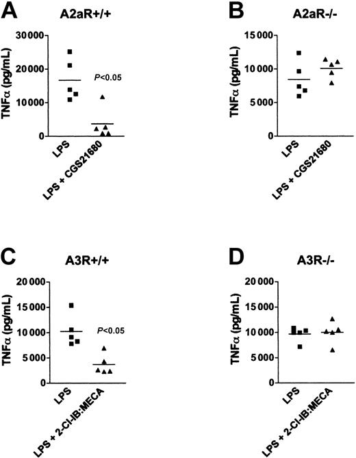 Figure 6. Pharmacologic activation of A2aR or A3R inhibits LPS-induced TNFα production in vivo. A2aR+/+ (A) and A2aR-/- (B) mice were injected with 0.5 mg/kg of CGS21680, and A3R+/+ (C) and A3R-/- (D) mice were injected intraperitoneally with the 0.5 mg/kg of 2-Cl-IB:MECA. Ten minutes later the mice were injected with 10 mg/kg LPS. The mice were bled 1 hour after LPS injection and the level of TNFα in the serum was measured. This figure shows that LPS-induced TNFα was inhibited by CGS21680 or 2-Cl-IB:MECA in A2aR+/+ (A) and A3R-/- (C) mice, respectively. However, these adenosine receptor-specific agonists did not affect A2aR-/- and A3R-/- mice (B and D, respectively). Representative results from 1 of 3 separate experiments.