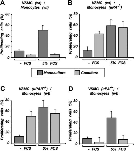 Figure 5. Inhibition of VSMC proliferation in coculture requires uPA/uPAR signaling. VSMCs on coculture with monocytes were treated with BrdU. Incorporation was detected by immunofluorescence using monoclonal antibody against BrdU. Cells were counted using Hoechst 33258 nuclear staining. Representative results of n experiments are shown. (A) Result (n = 4) using wild-type VSMCs and wild-type monocytes. (B) uPA-/- monocytes and wild-type VSMCs were used for coculture (n = 3). (C) uPAR-/- VSMCs and wild-type monocytes were used (n = 3). (D) uPA-/- VSMCs and wild-type monocytes were used (n = 3). The coverslips were counted in one given field for the number of cells in blue filter for Hoechst 33258 and for number of proliferating cells in red filter for BrdU (Alexa 546). Cells were counted (mean ± SD of 5-7 fields).